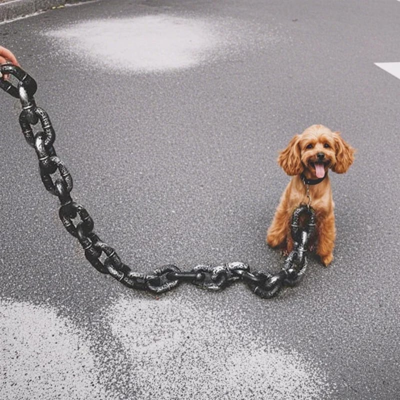 The Chain Paws