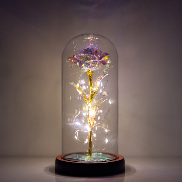 Enchanted Galaxy Rose